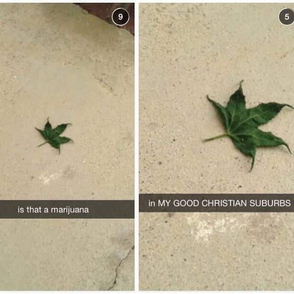 my good christian suburbs meme - 9 9 5 in My Good Christian Suburbs is that a marijuana