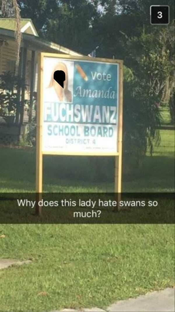 grass - 3 Vote Amanda Fuchswanz School Board District Why does this lady hate swans so much?