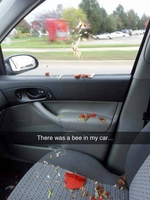 there was a bee in my car meme - There was a bee in my car....