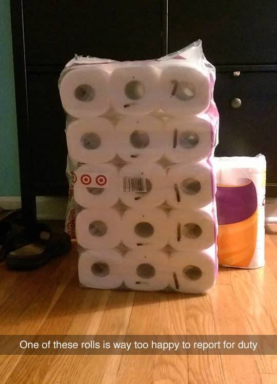 funny pictures of everyday things - One of these rolls is way too happy to report for duty