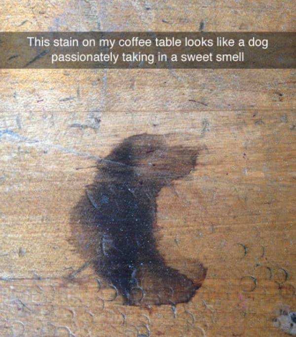 Art - This stain on my coffee table looks a dog passionately taking in a sweet smell