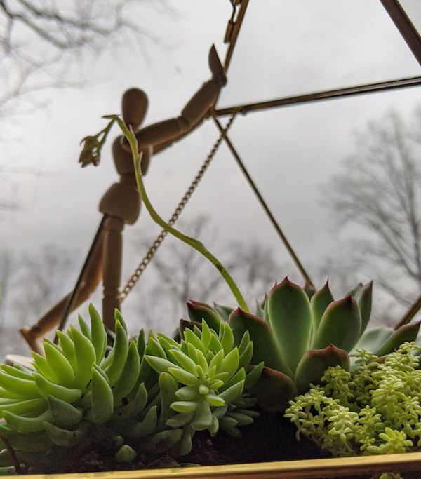 17 Things That Are Genius Or Stupid.