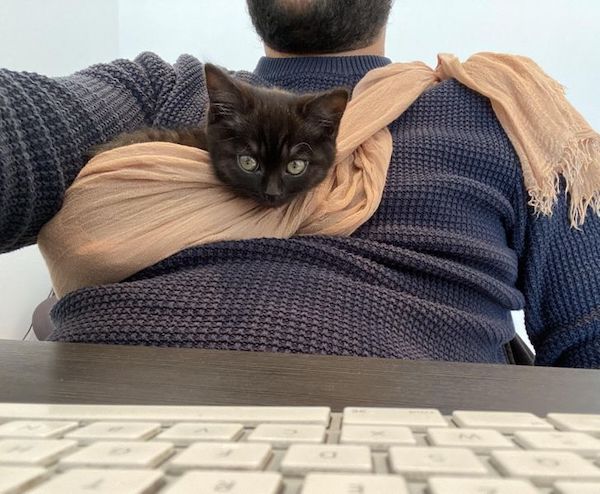 17 Things That Are Genius Or Stupid.