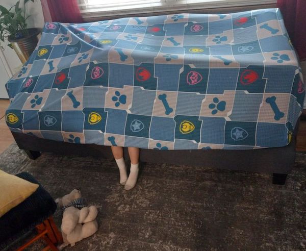 17 Things That Are Genius Or Stupid.