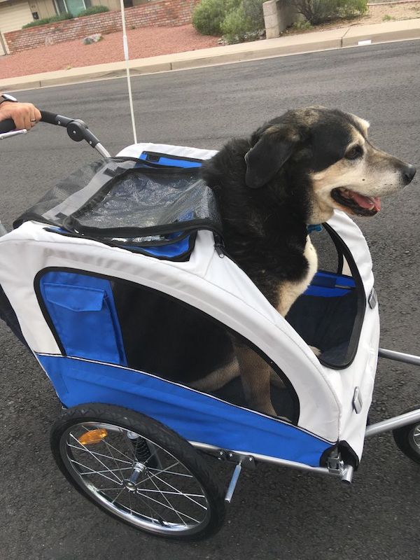 17 Things That Are Genius Or Stupid.