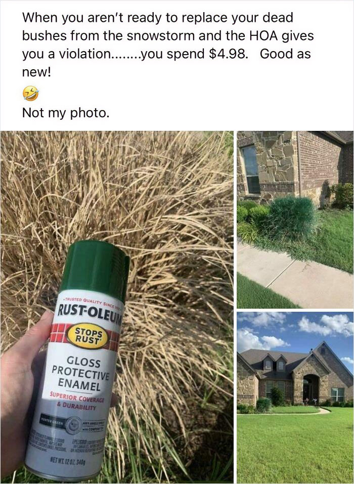 spray paint - When you aren't ready to replace your dead bushes from the snowstorm and the Hoa gives you a violation........you spend $4.98. Good as new! Not my photo. Trusted Quality Since RustOleum Stops Rust Gloss Protective Enamel Superior Coverage & 