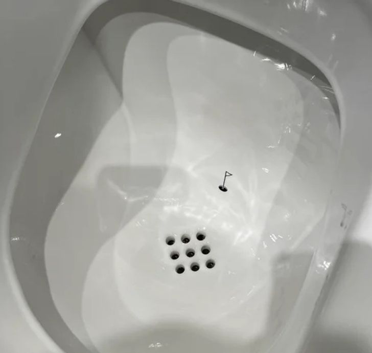 “This little pin and hole in a urinal at the Amsterdam Airport”