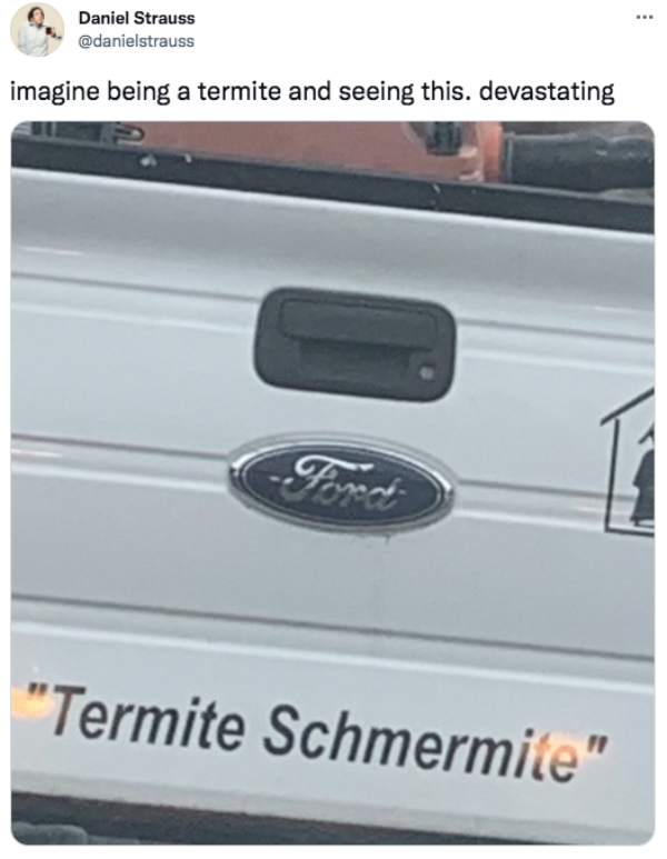 car - ... Daniel Strauss imagine being a termite and seeing this. devastating Ford "Termite Schmermile"