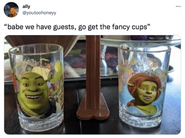 we have guests get the fancy cups - . ally "babe we have guests, go get the fancy cups