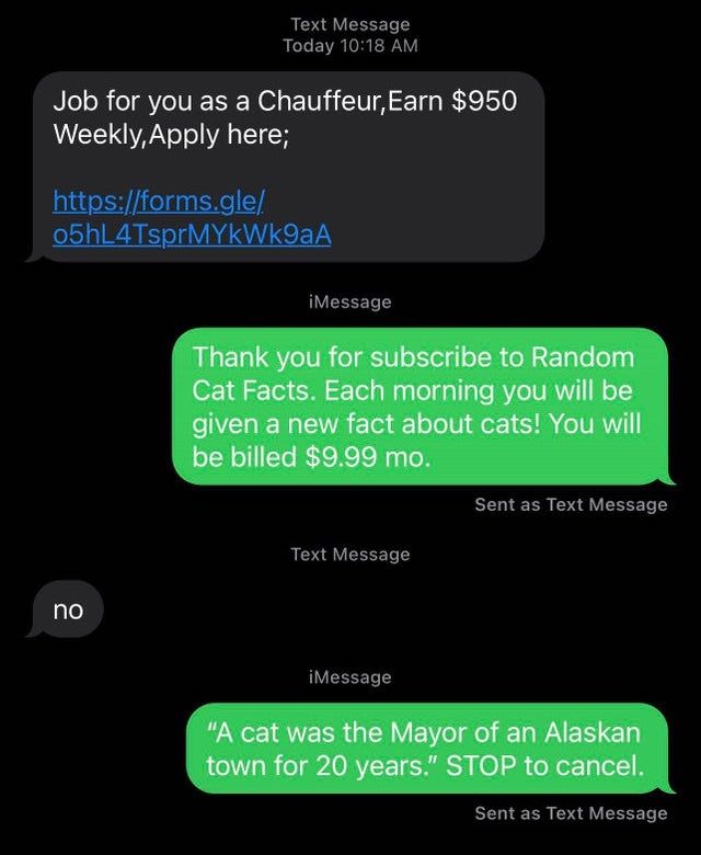 scammers called out -  screenshot - Text Message Today Job for you as a Chauffeur, Earn $950 Weekly, Apply here; ! 05hL4TsprMYkWk9aA iMessage Thank you for subscribe to Random Cat Facts. Each morning you will be given a new fact about cats! You will be bi