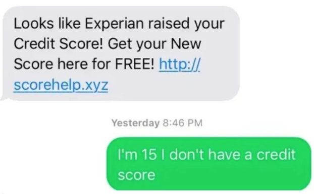 scammers called out -  guy scams scammer - Looks Experian raised your Credit Score! Get your New Score here for Free! http. scorehelp.xyz Yesterday I'm 15 I don't have a credit score