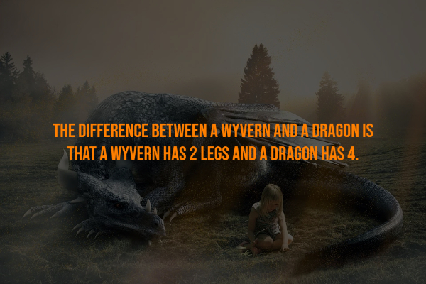 fauna - The Difference Between A Wyvern And A Dragon Is That A Wyvern Has 2 Legs And A Dragon Has 4.