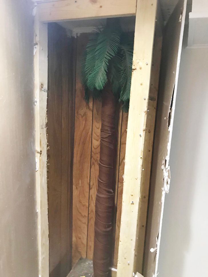 “Bought a house 10 months ago. Found a sewer pipe disguised as a palm tree while working on the basement.”
