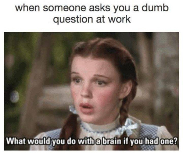 work memes - when someone asks you a dumb question at work What would you do with a brain if you had one?