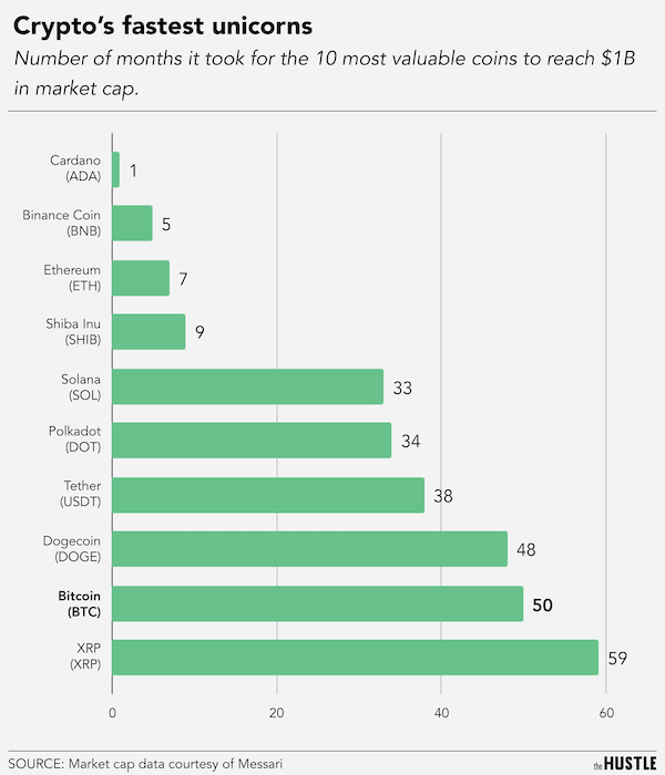 24 Charts Filled With Random Knowledge.