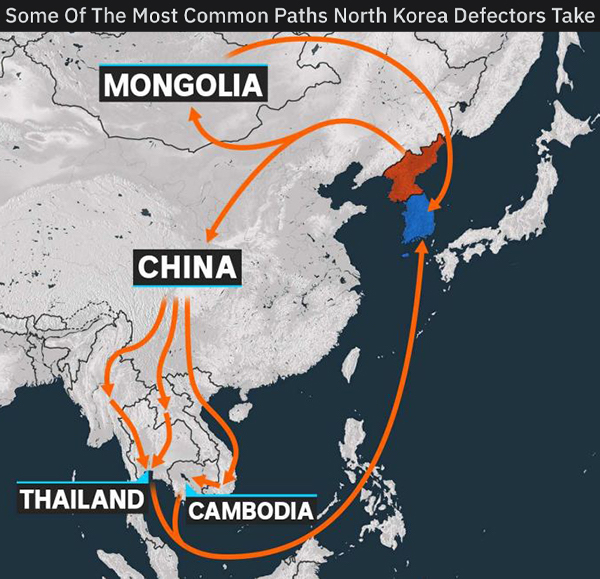 24 Charts Filled With Random Knowledge.