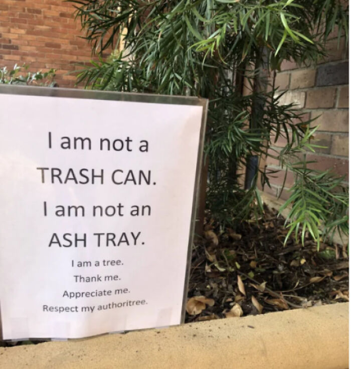 ash tray puns - I am not a Trash Can. I am not an Ash Tray. I am a tree. Thank me. Appreciate me. Respect my authoritree.