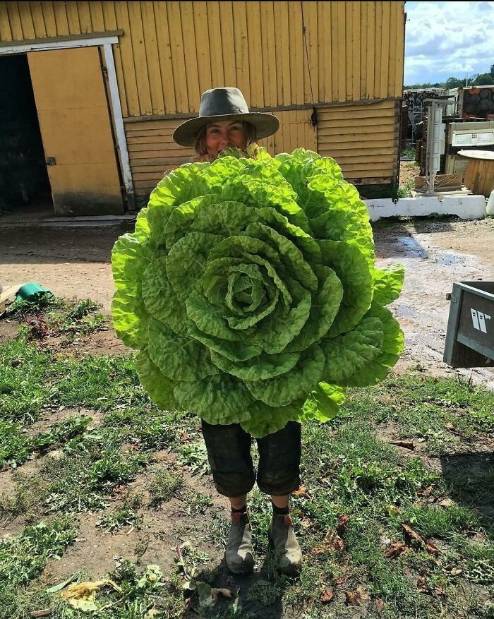 30 Absolute Units Who God Held the Caps Lock On