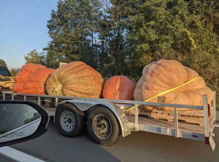 30 Absolute Units Who God Held the Caps Lock On