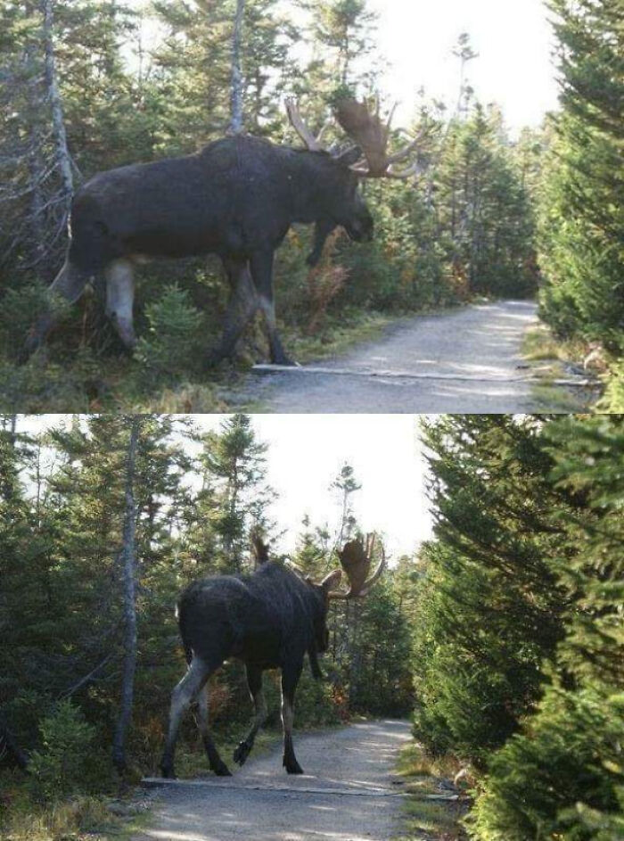 30 Absolute Units Who God Held the Caps Lock On