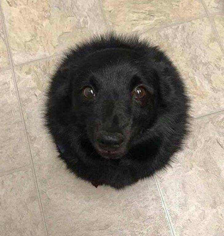 "Looks like a black hole right in the middle of the kitchen."