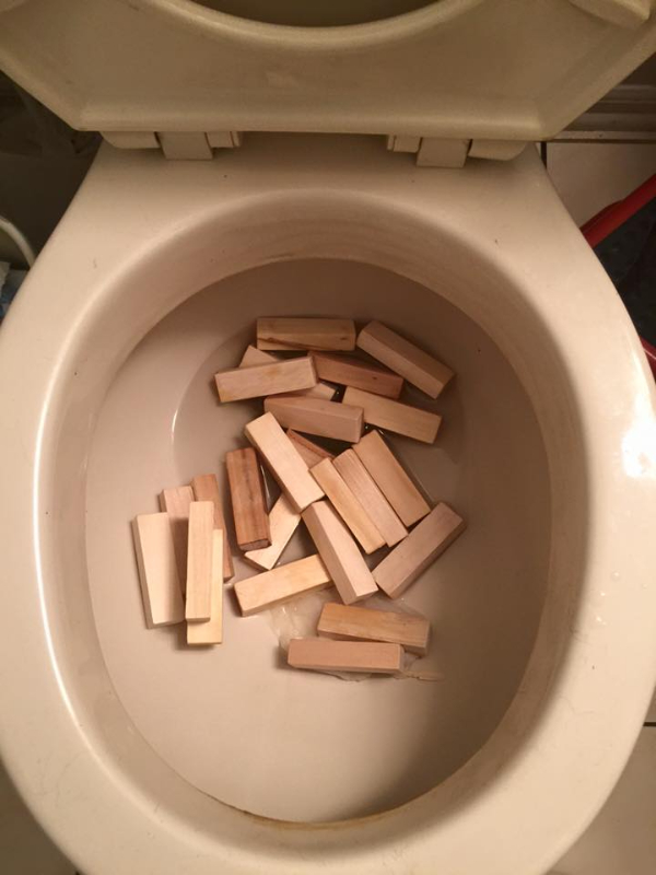 worst days - unlucky people - toilet seat