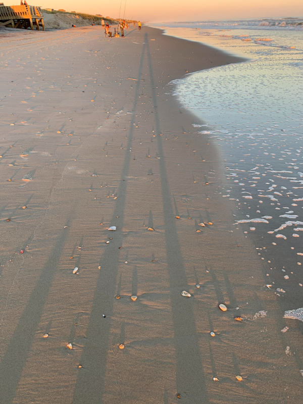 “I threw a very long shadow at sunset near Hatteras, North Carolina.”