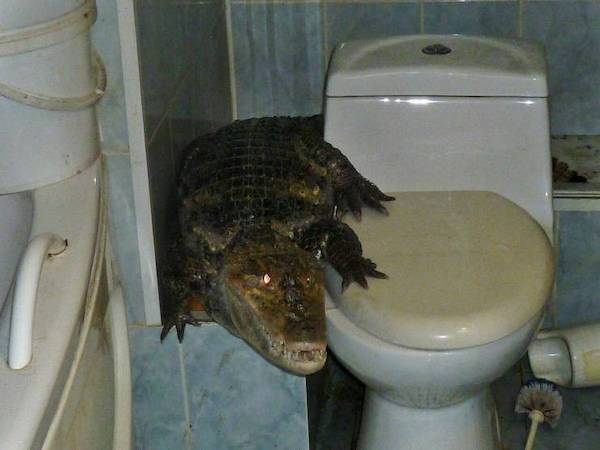 37 Cursed Images Filled With Nope.