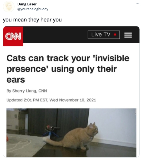 funny tweets  - cnn icon - Dang Laser you mean they hear you Cinn Live Tv Iii E Cats can track your 'invisible presence' using only their ears By Sherry Liang, Cnn Updated Est, Wed