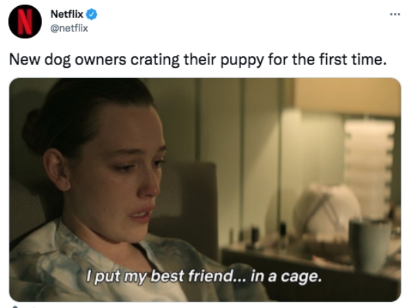 funny tweets  - video - Netflix New dog owners crating their puppy for the first time. I put my best friend... in a cage.