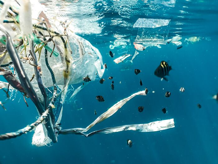 creepy facts - ocean plastic pollution