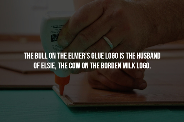 interesting facts - annie leibovitz queen elizabeth - The Bull On The Elmer'S Glue Logo Is The Husband Of Elsie, The Cow On The Borden Milk Logo