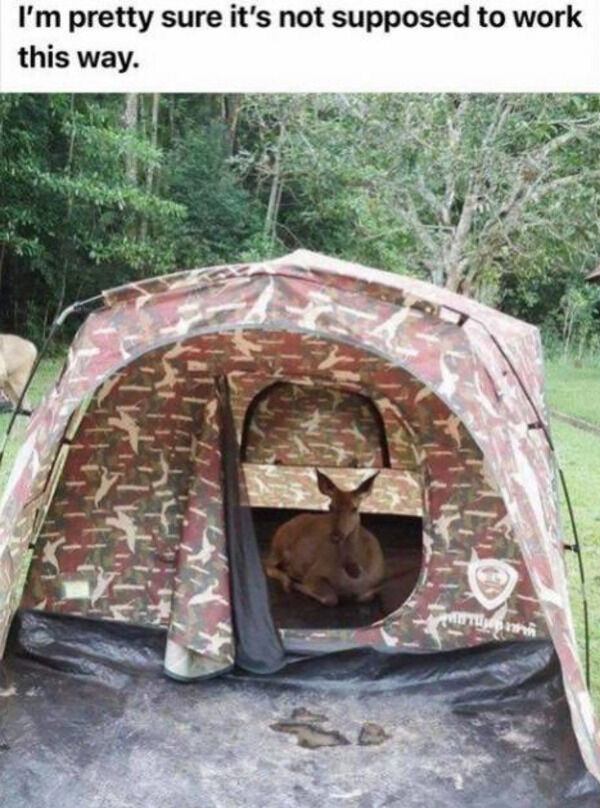 memes - epic fails - tent - I'm pretty sure it's not supposed to work this way.