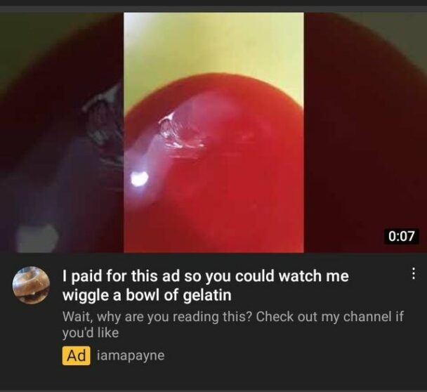 dudes living on their terms  - atmosphere - I paid for this ad so you could watch me wiggle a bowl of gelatin Wait, why are you reading this? Check out my channel if you'd Ad iamapayne