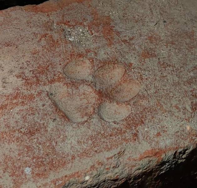 “Cat paw imprint on a 400-year-old brick.”