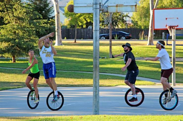 “Saw this happening while walking through the park yesterday. Made my day.”