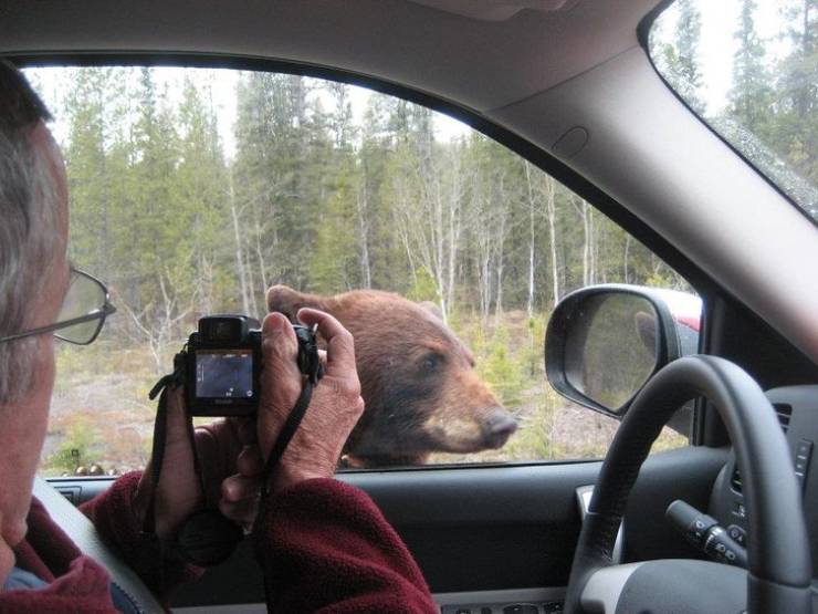 “My dad and I were driving across Canada and this guy came up to say hello.”