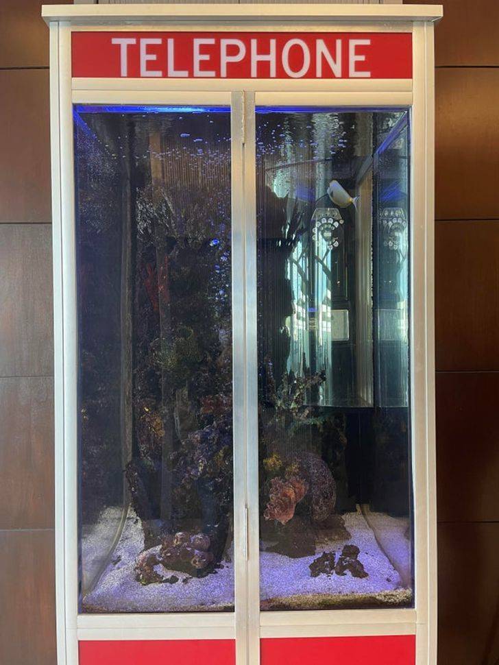 “This phone booth turned into a fish tank.”