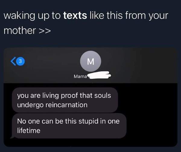 savage parents - multimedia - waking up to texts this from your mother >> 13 M Mama you are living proof that souls undergo reincarnation No one can be this stupid in one lifetime