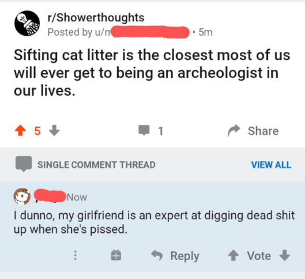clever comments  - number - rShowerthoughts De Posted by un 5m Sifting cat litter is the closest most of us will ever get to being an archeologist in our lives. 5 1 Single Comment Thread View All Now I dunno, my girlfriend is an expert at digging dead shi