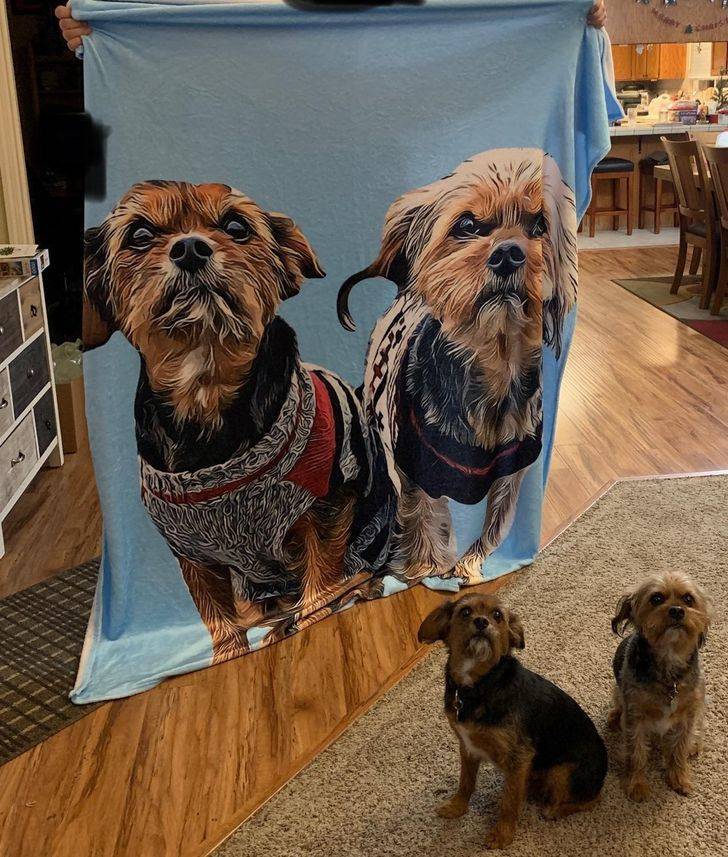 ’’I ordered the blanket from a sketchy seeming website. They nailed it.’’
