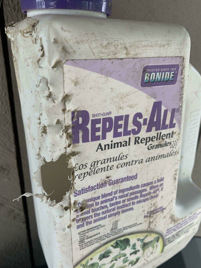 home disasters - unlucky people - Trusted Since 1926 Bonide RepelsAll Animal Repellent Granules fos granules repelente contra animales. Satisfaction Guaranteed w unique blend of ingredients causes a hulle ition to animal's nasal passages. When awal touche