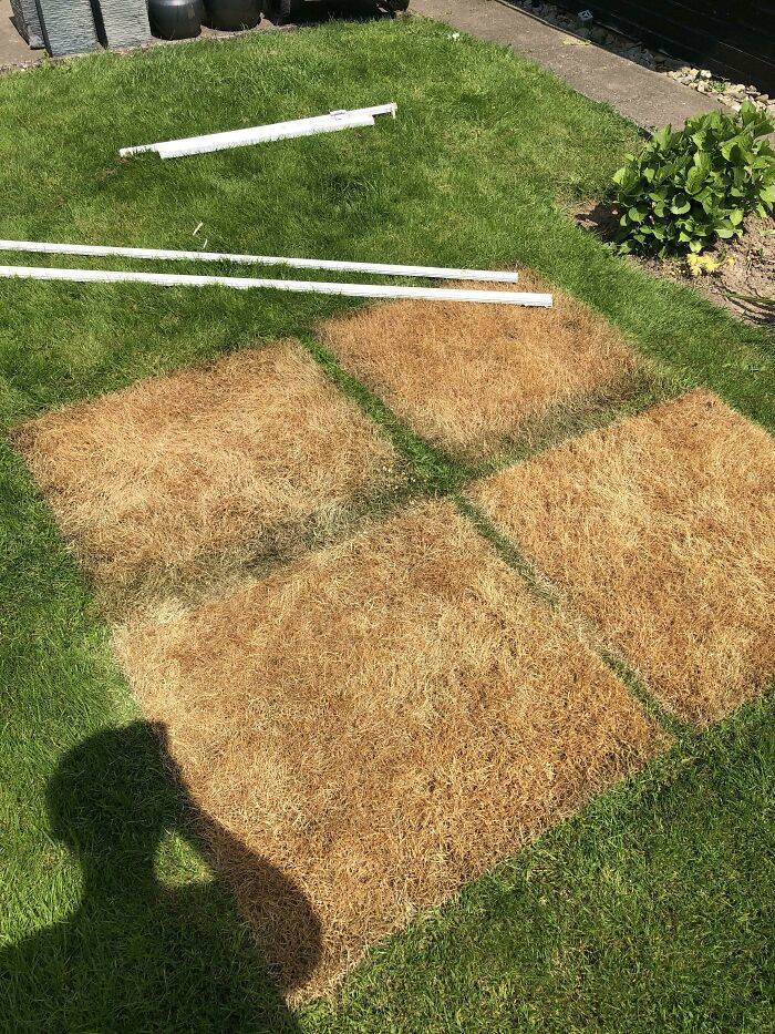 home disasters - unlucky people - lawn