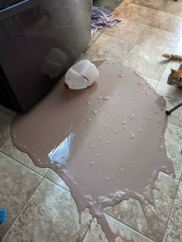 home disasters - unlucky people - chocolate milk on the floor