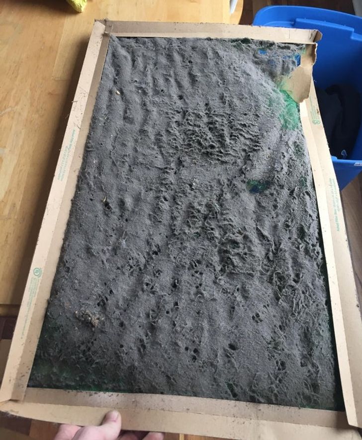 “Moved into a new house. The old owners never changed their furnace filter.”