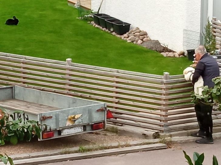 “Every day, this guy walks by our house and lifts up his dog for a look at our neighbor’s rabbit.”