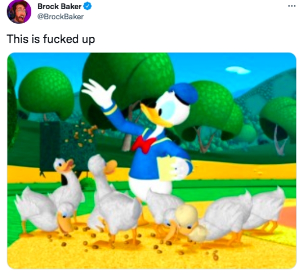 funny tweets - donald's ducks - . Brock Baker This is fucked up