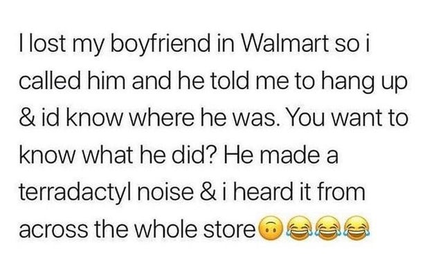 dear boys quotes - I lost my boyfriend in Walmart so i called him and he told me to hang up & id know where he was. You want to know what he did? He made a terradactyl noise & i heard it from across the whole store a