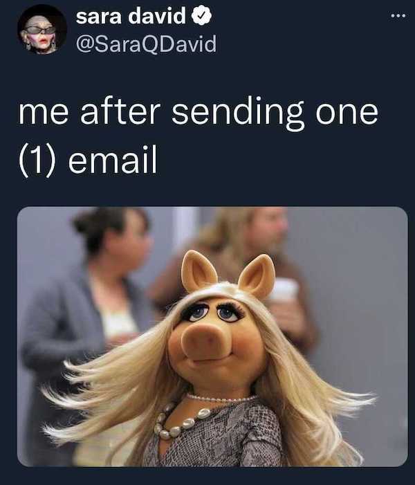 work memes - pig out muppets - sara david me after sending one 1 email