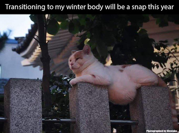 Transitioning to my winter body will be a snap this year Photographed by Hirotaka